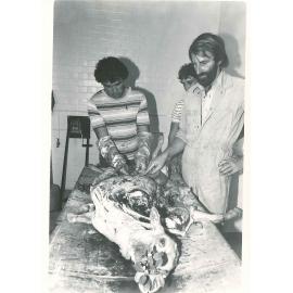 Sheep Dissection, c1975