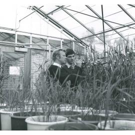Plant Breeder Gil Hollamby with Student, c1968