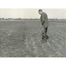 Principal Robert McCulloch Inspecting Pasture Plots, c1955