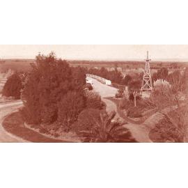 Driveway and Gardens, Roseworthy Agricultural College, 1914-1916