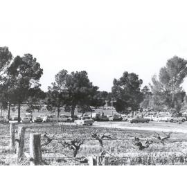 Roseworthy Oval, 1970s
