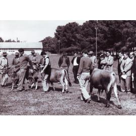 Open Day, Roseworthy Agricultural College, 1964