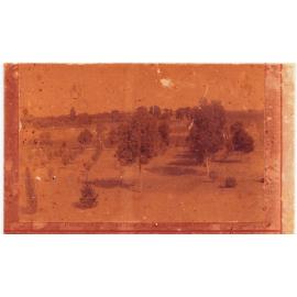 Principal's Residence and Plantation, Roseworthy Agricultural College, c1900