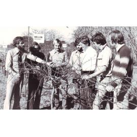 Grape Vine Pruning, 1978
