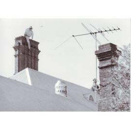 'Student' on Chimney of Main Building, Roseworthy Agricultural College, 1988