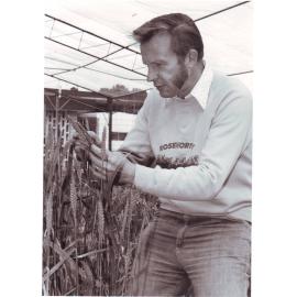 Gil Hollamby, Plant Breeder, 1982
