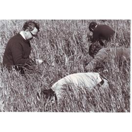 Dr Phil Tow and Students Assessing Pasture Composition, 1979