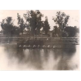 Adelaide University Rowing Crew, 1889
