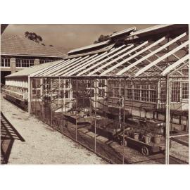 Waite Agricultural Research Institute, 1929