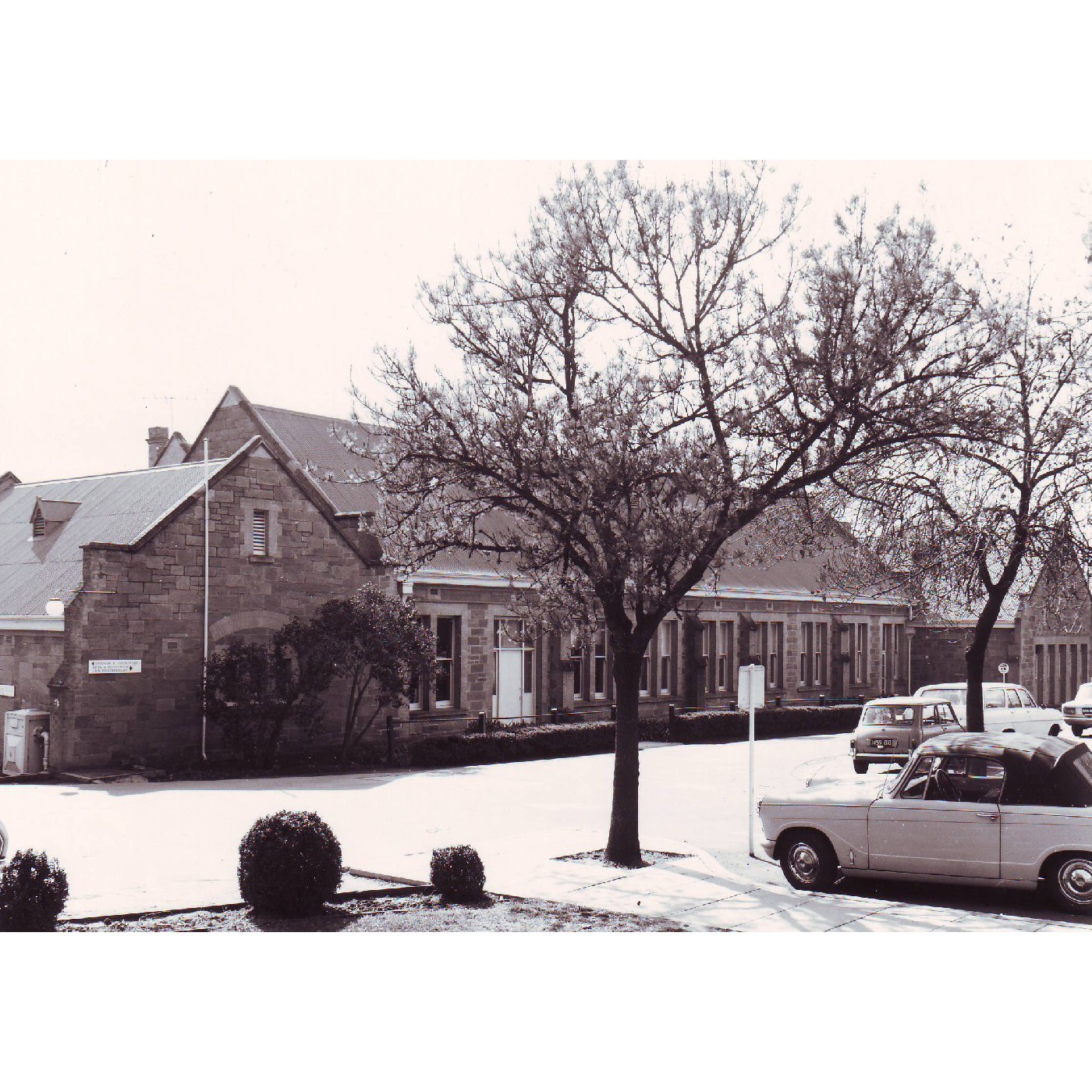 Anatomy Building