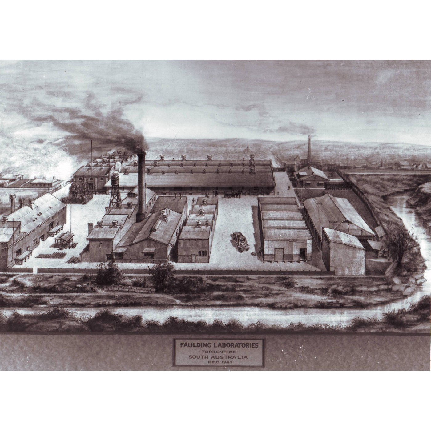 Faulding Laboratories