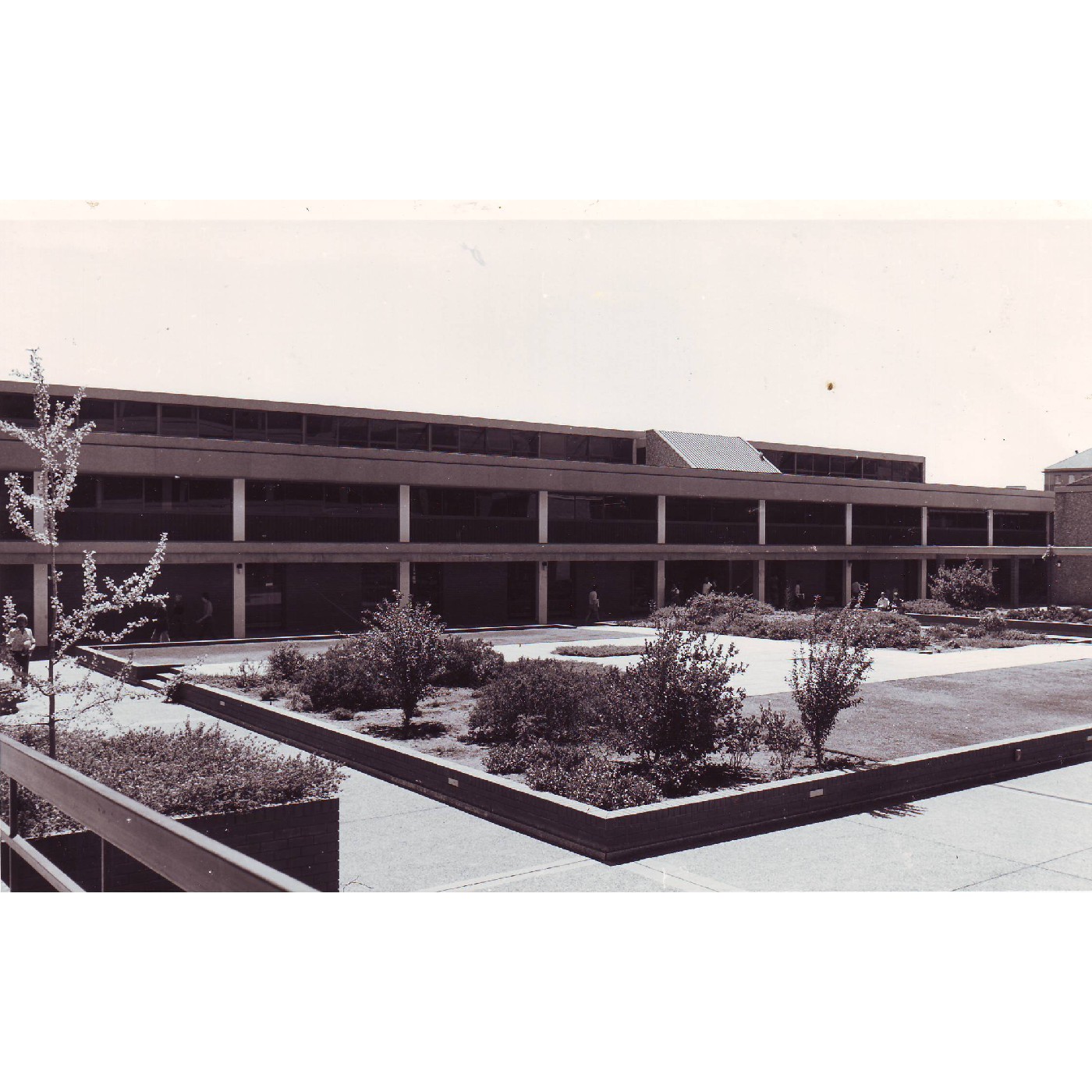 Architecture Building