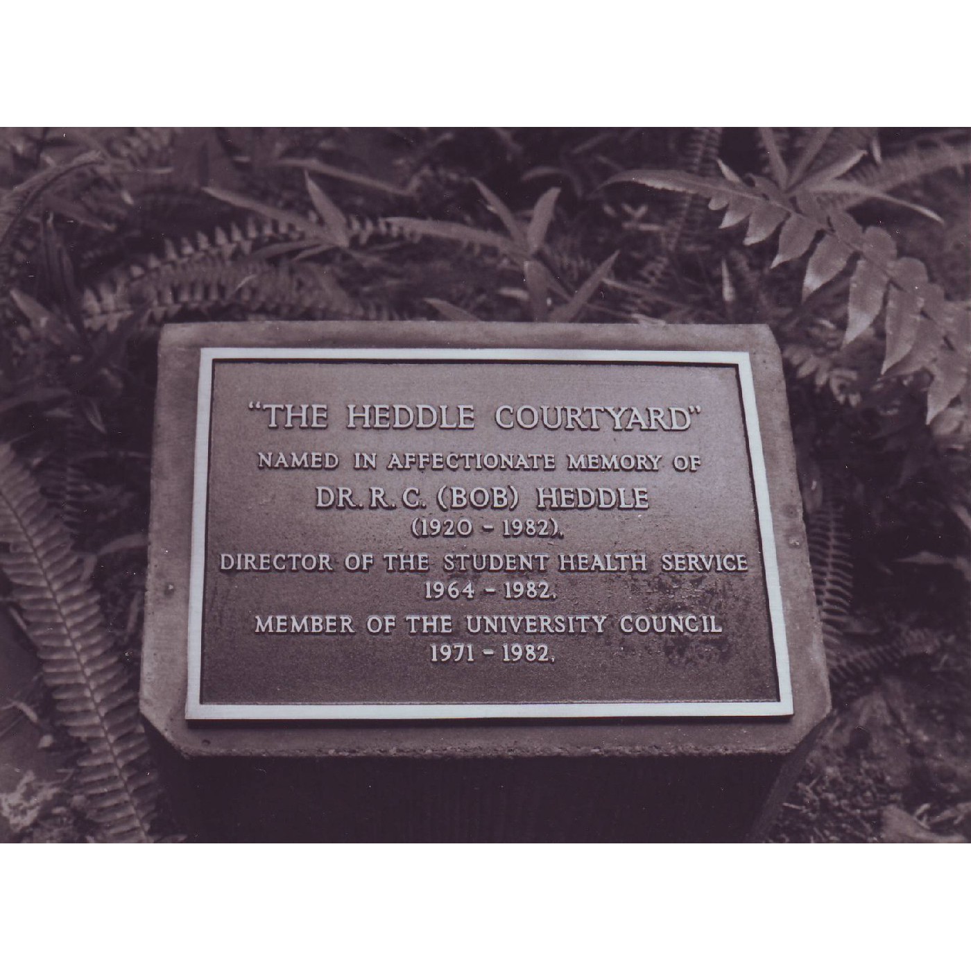 Heddle Courtyard