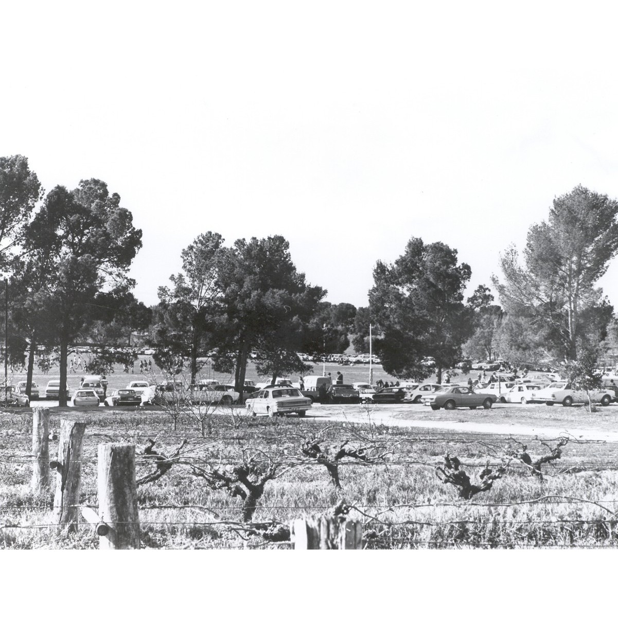 Roseworthy Oval