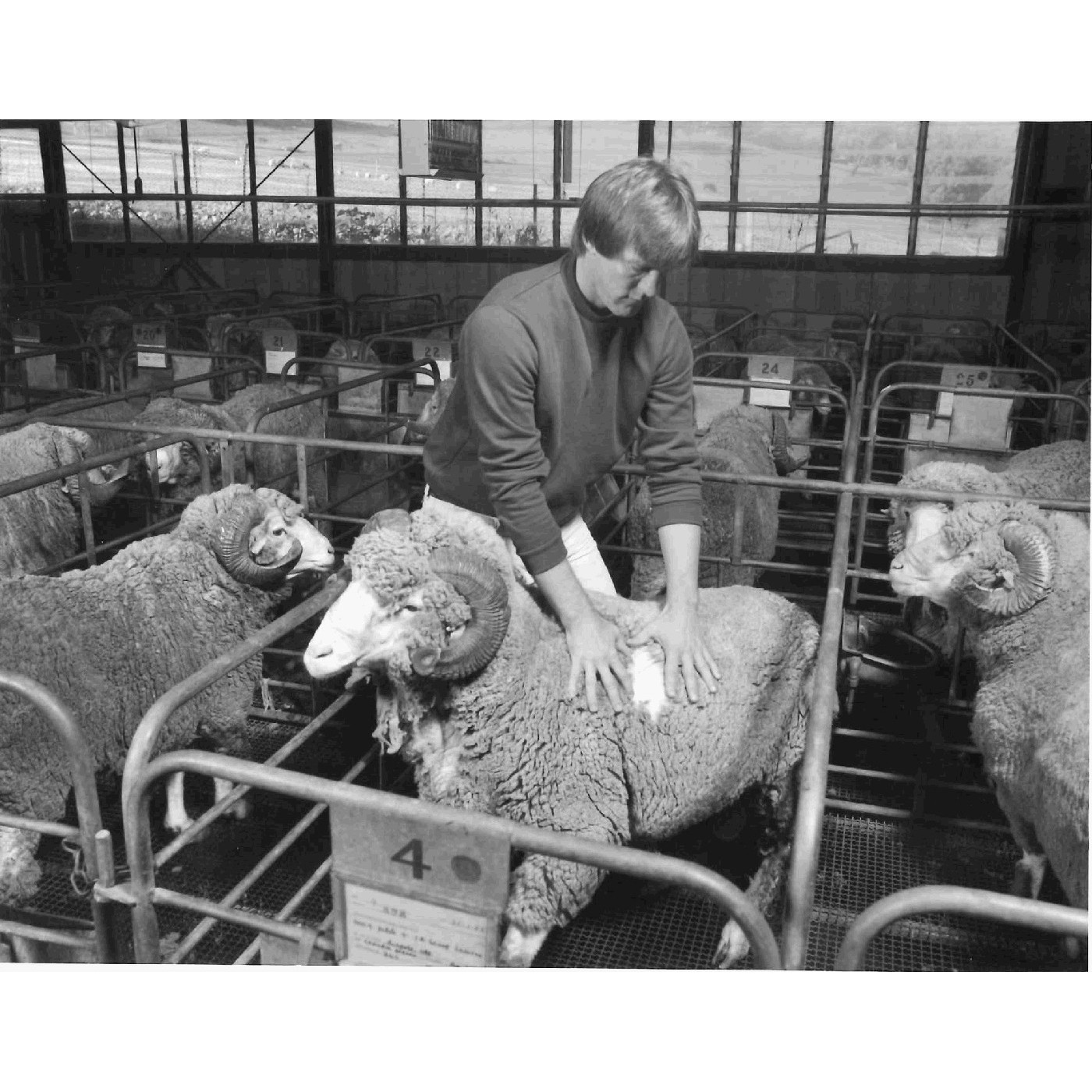 Waite Agricultural Research Institute