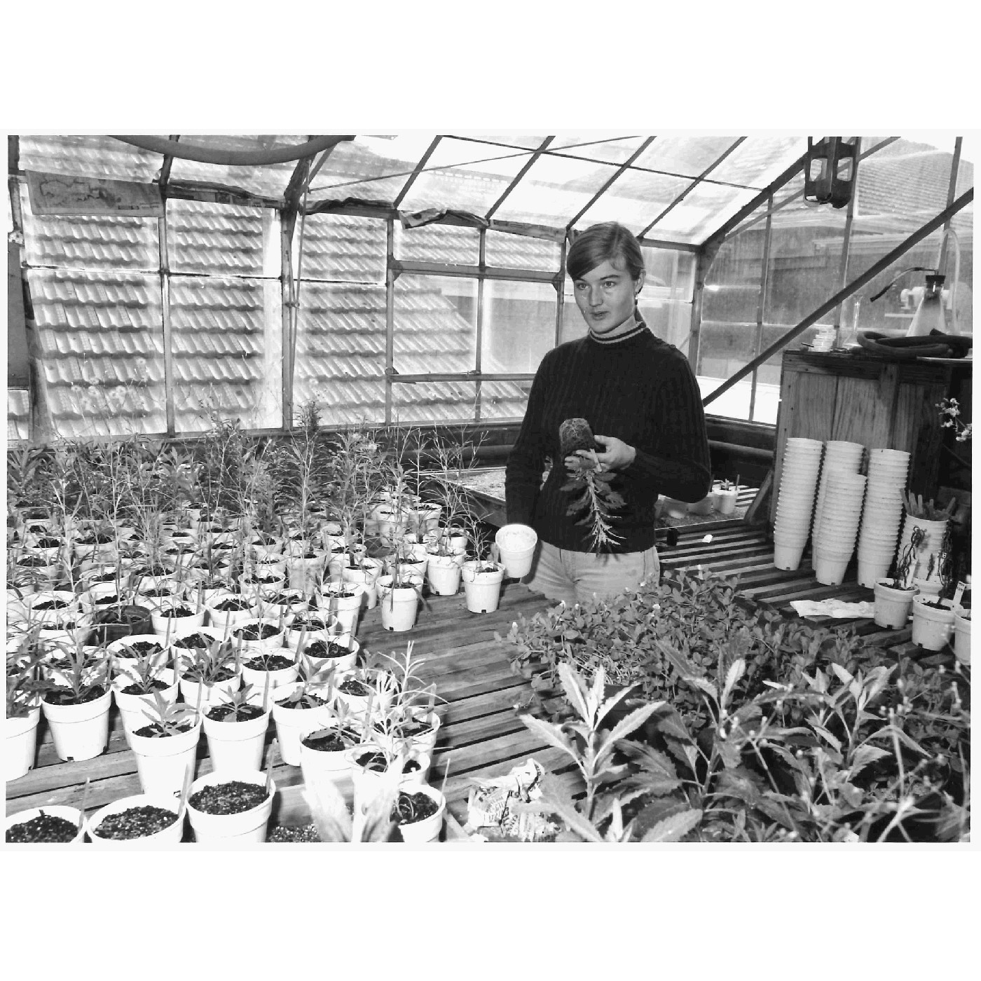 Department of Botany